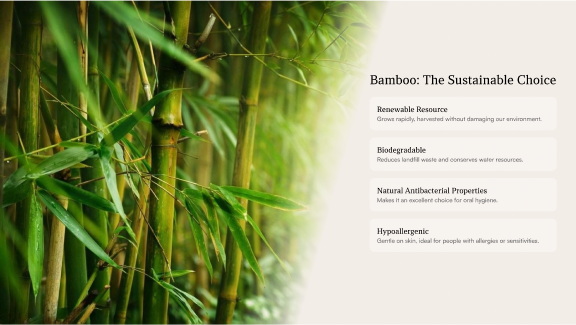 A pitch deck slide with an image of bamboo with text explaining its relevance to ROZE Clinics' products